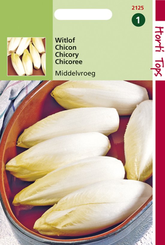 Witlof Hollandse Middelvroeg (Cichorium) 1800 zaden